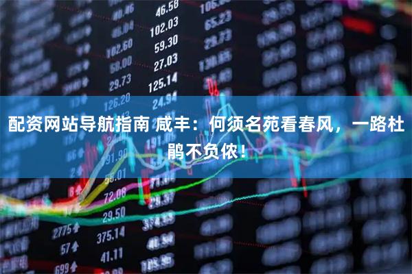 配资网站导航指南 咸丰：何须名苑看春风，一路杜鹃不负侬！