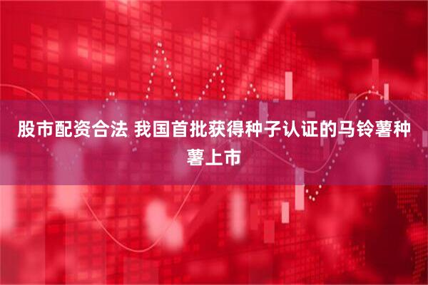 股市配资合法 我国首批获得种子认证的马铃薯种薯上市
